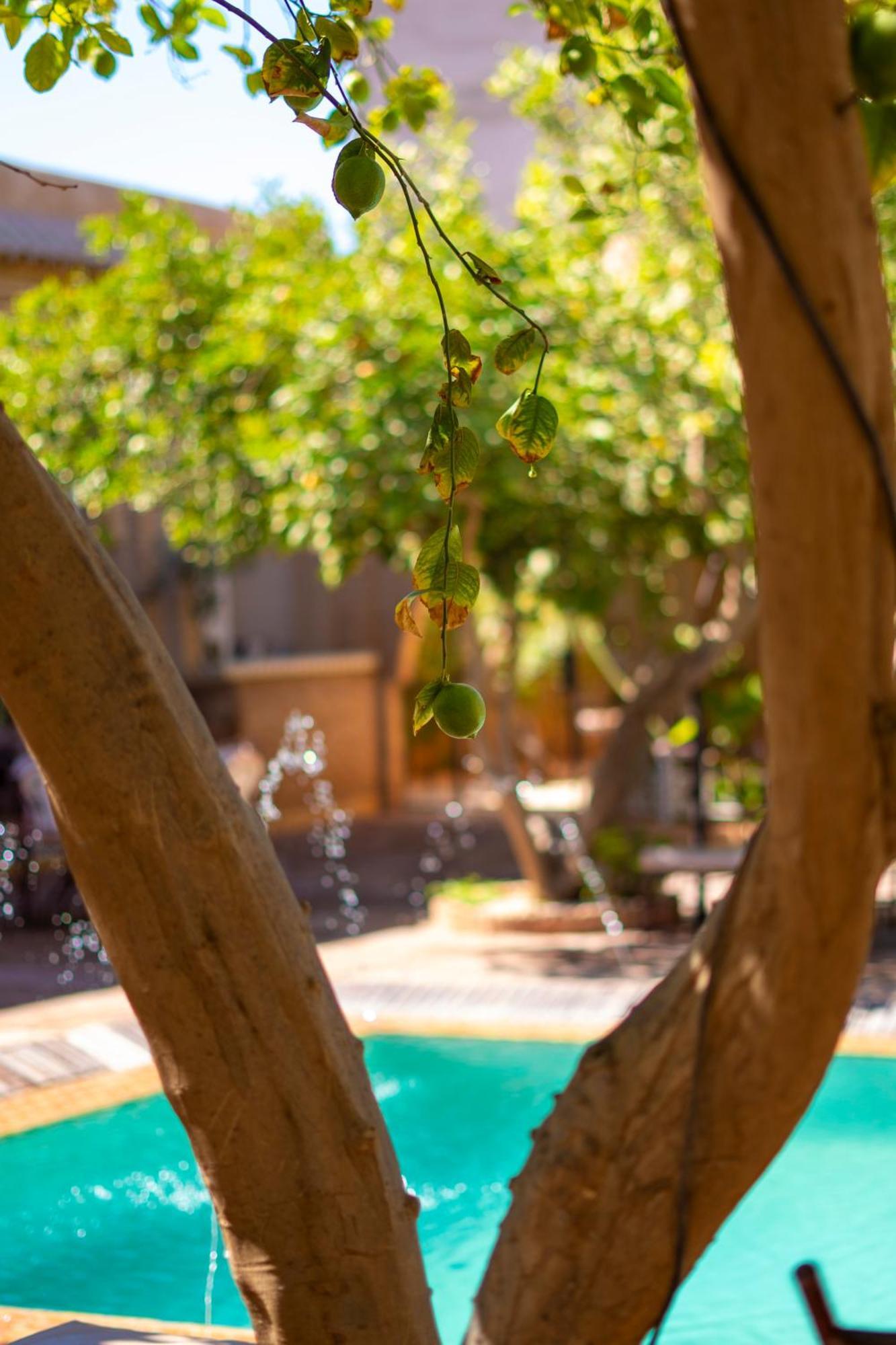 Riad Jnane Ines Tarudante Exterior foto